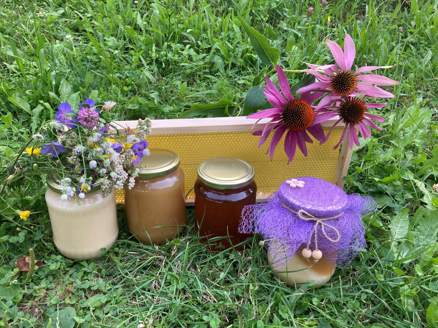 Med, včelí dílo a bylinky