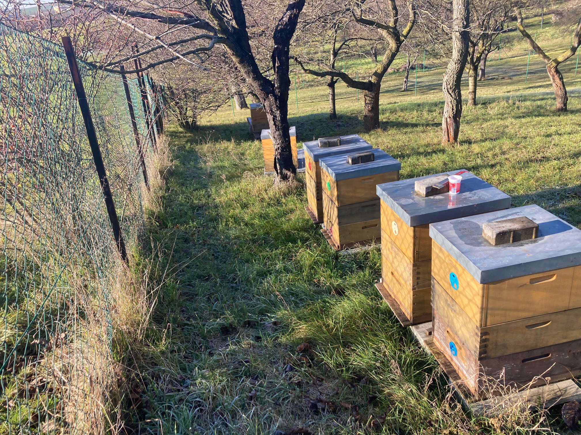 Naše včelnice v Račicích